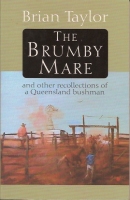Brumby mare